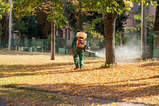 Best Wasp Removal Services  in Proctor, MN