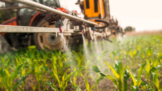 Reliable Proctor, MN Pest Control Solutions